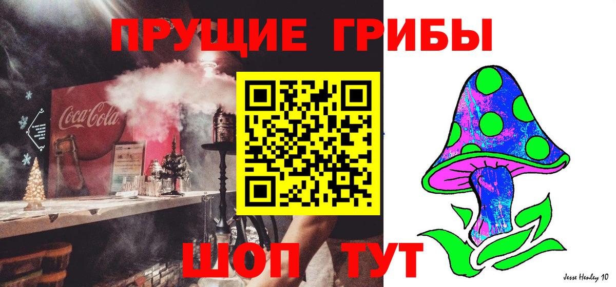Гурьевск  цена   Вход с VPN  Псилоцибиновые грибы GOLDEN TEACHER  Галлюциногенные грибы ЛСД 