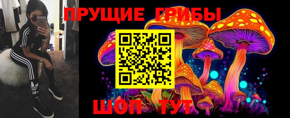 Псилоцибиновые грибы ЛСД Гурьевск